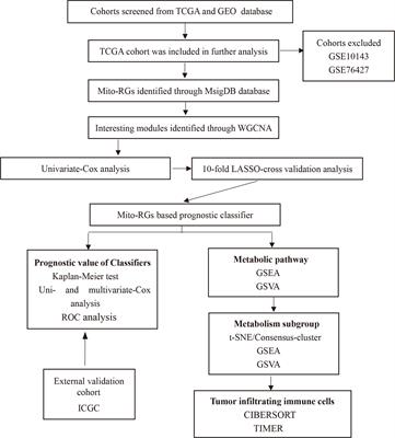 Identification of Mitochondrial-Related Prognostic Biomarkers Associated With Primary Bile Acid Biosynthesis and Tumor Microenvironment of Hepatocellular Carcinoma